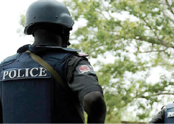 Police dismantle bandit camps in Kaduna 6 A NIGERIAN POLICE OFFICER 1