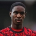 Arsenal sign Habeeb Ogunneye