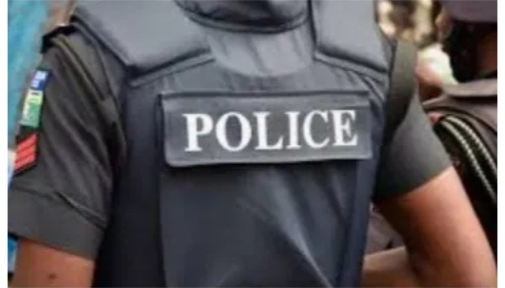 Police Arrest 22-Year-Old Man Over Alleged Defilement of 15-Year-Old in Ogun 1 Police Arrest 22-Year-Old Man Over Alleged Defilement of 15-Year-Old in Ogun