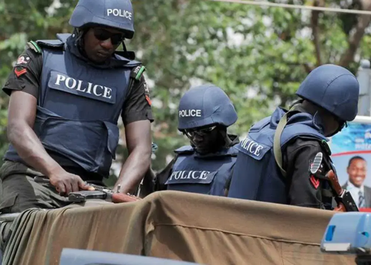 Owena Farm Tragedy: Three Siblings Found Dead Near Riverbank